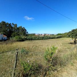 24049---foto--5-