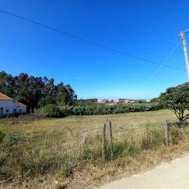 24049---foto--10-