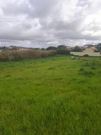 Image No.8-Land for sale