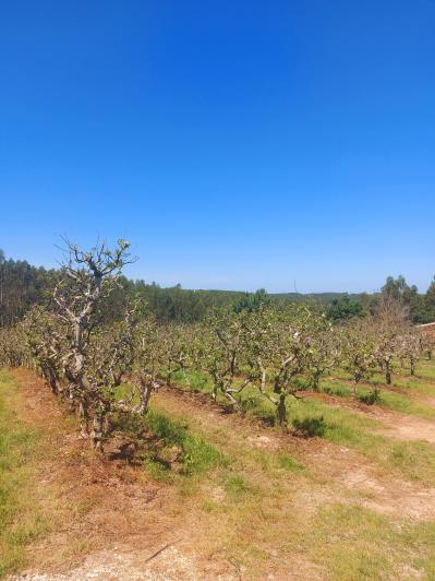 Image No.1-Land for sale