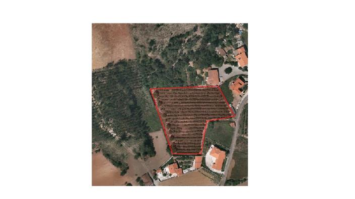 Image No.6-Land for sale