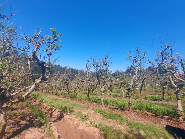 Image No.5-Land for sale