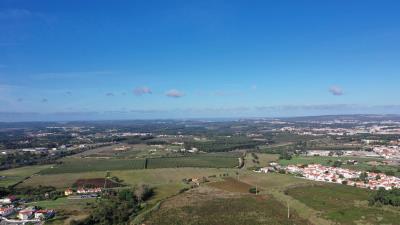 IMG-20250723-WA0004