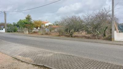_foto-P24056--1-