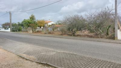 foto-P24056--2-