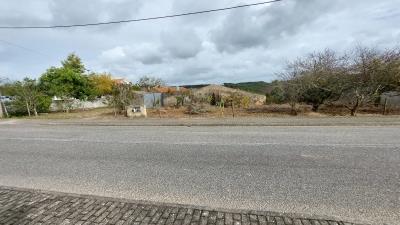 foto-P24056--4-