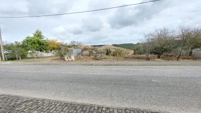 foto-P24056--5-