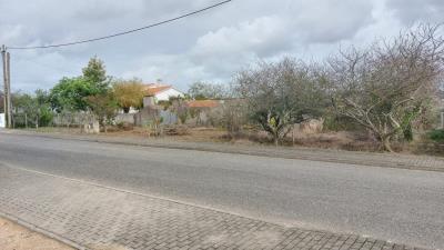 foto-P24056--7-
