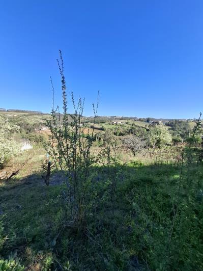 Image No.22-Country House for sale