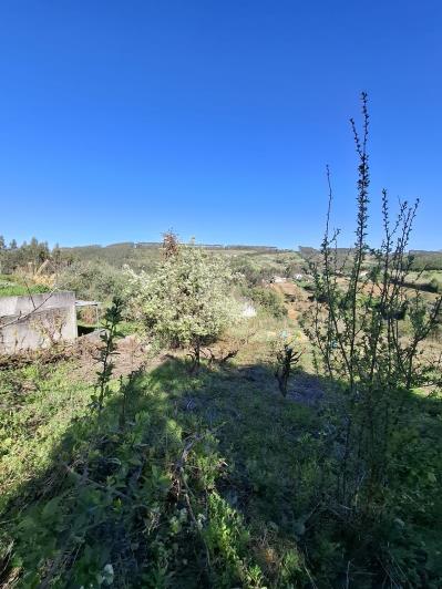 Image No.10-Country House for sale