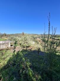 20260331_163640_resized