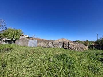 20260331_164454_resized