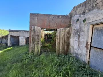 20260331_164927_resized