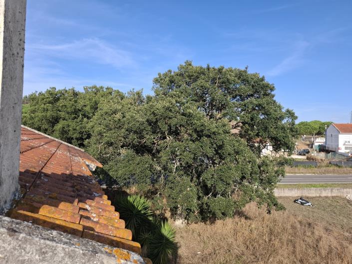 Image No.43-3 Bed House/Villa for sale