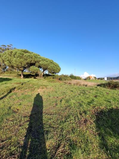 Image No.18-Land for sale