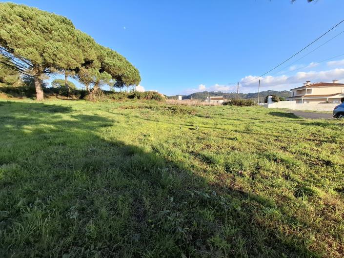 Image No.2-Land for sale