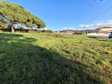 20251230_160525_resized