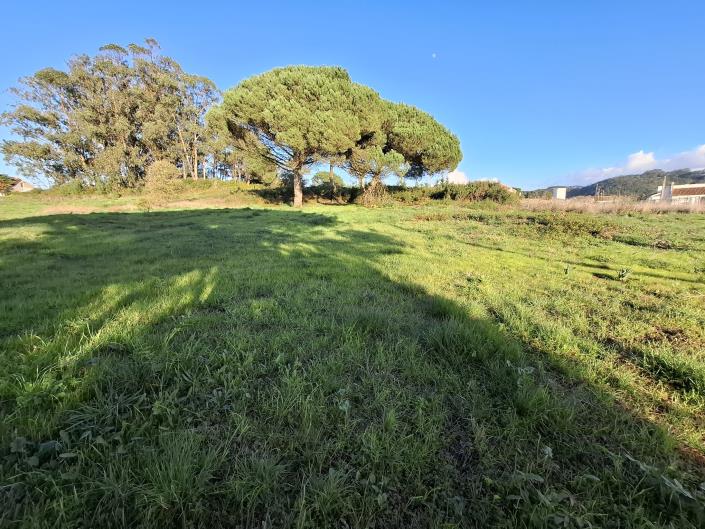 Caldas da Rainha, Land