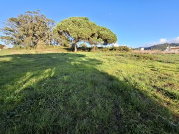 20251230_160527_resized