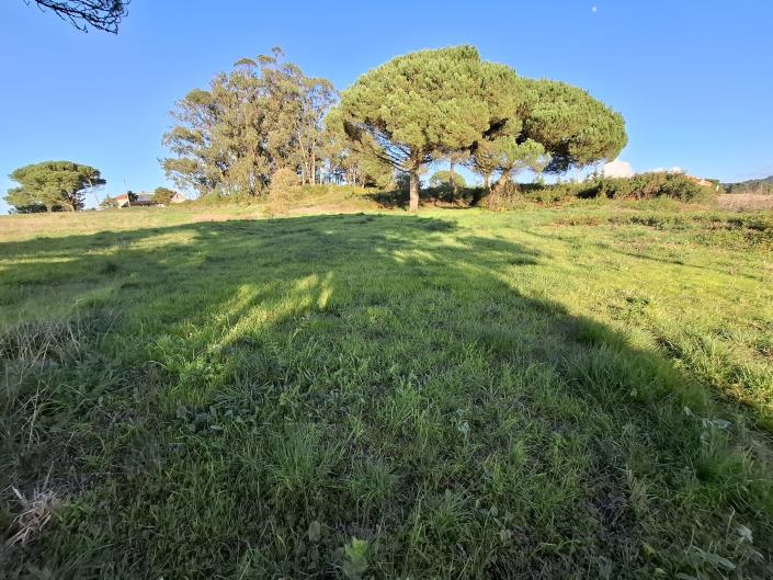 Image No.3-Land for sale