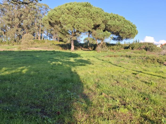 Image No.5-Land for sale