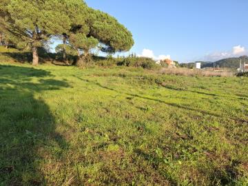 20251230_160548_resized