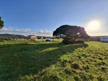 20251230_160642_resized