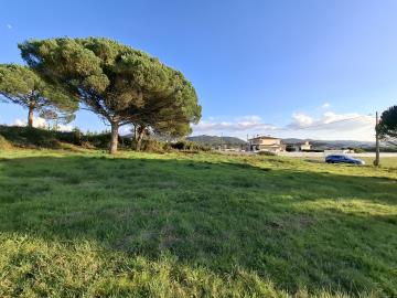 20251230_160644_resized