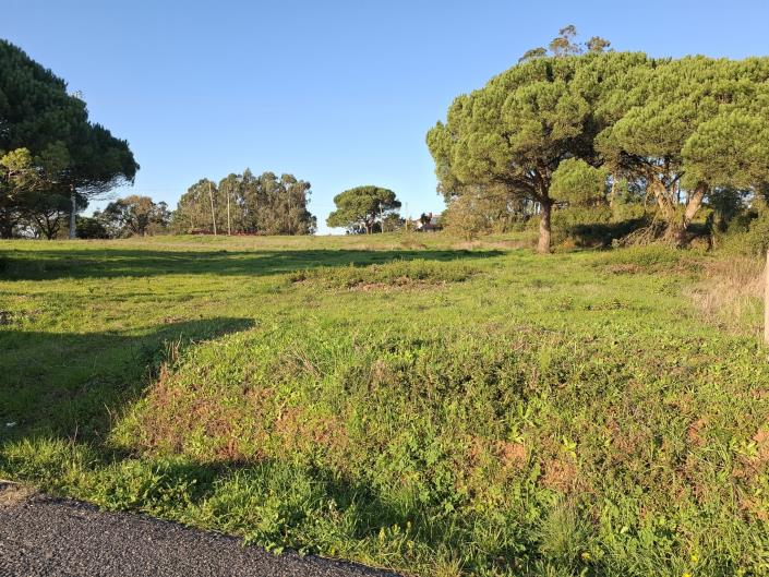 Image No.4-Land for sale