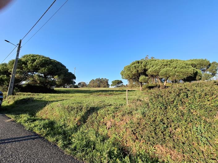 Image No.19-Land for sale