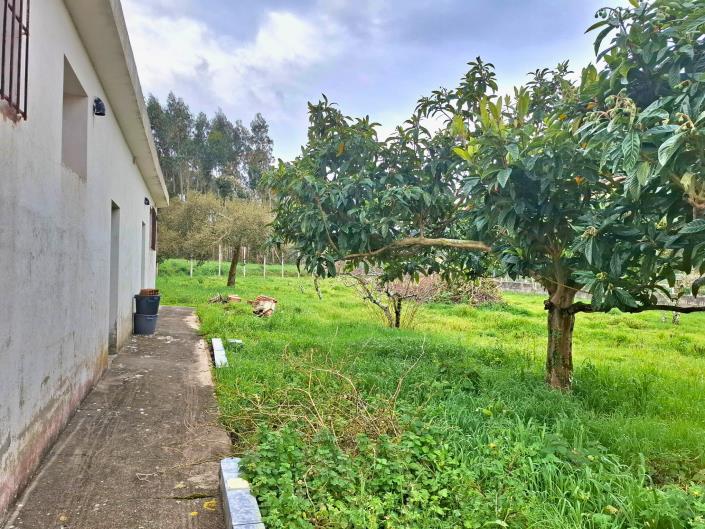 Image No.36-4 Bed House for sale
