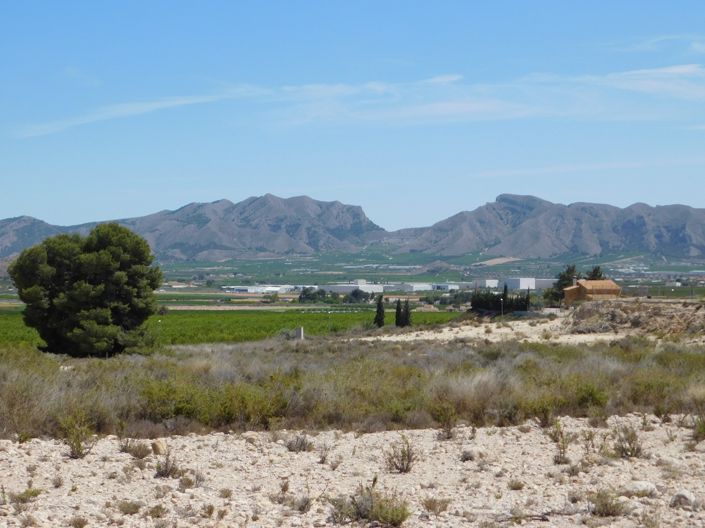 Image No.12-Terre à vendre à Fortuna