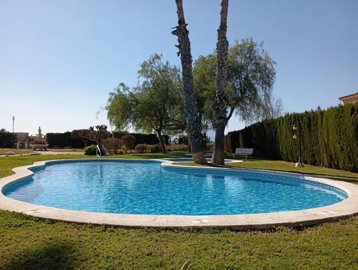 34531-for-sale-in-catral-20336018-large