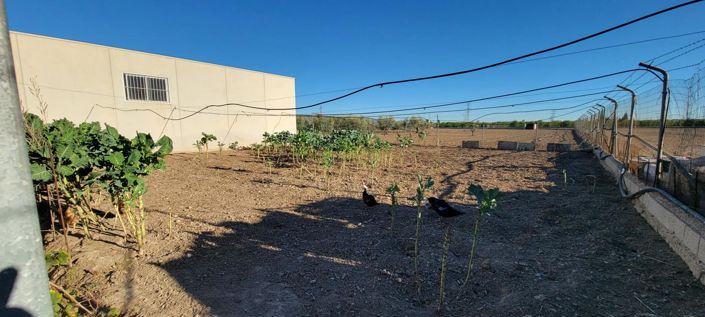 Image No.21-Maison de campagne de 1 chambre à vendre à San Miguel de Salinas