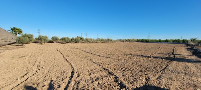 Image No.27-Maison de campagne de 1 chambre à vendre à San Miguel de Salinas