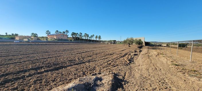 Image No.29-Maison de campagne de 1 chambre à vendre à San Miguel de Salinas