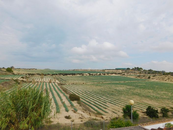 Image No.42-Villa de 3 chambres à vendre à San Miguel de Salinas