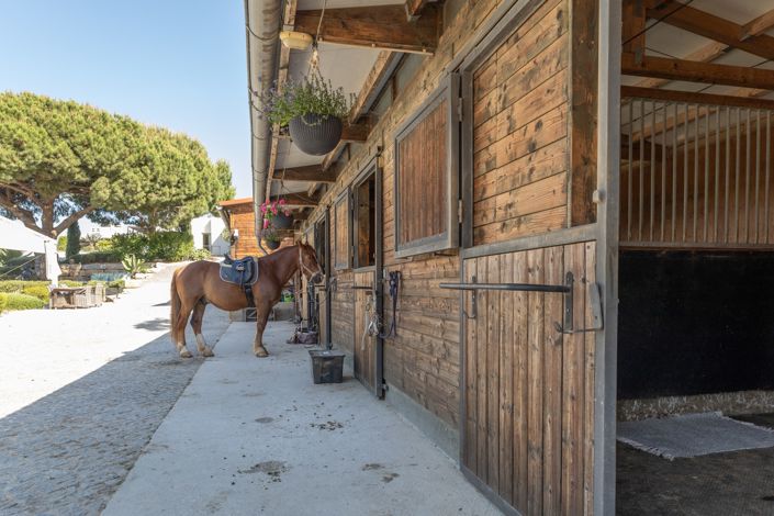 Image No.52-3 Bed Villa for sale