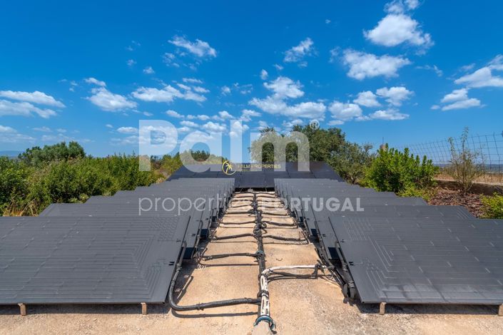 Image No.81-3 Bed Villa for sale