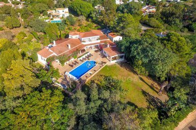 1706-650714-4017d2f44a169e2070a298ad08d2a2828