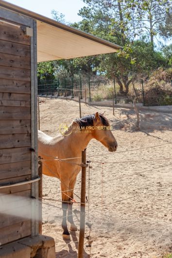 Image No.21-3 Bed Villa for sale