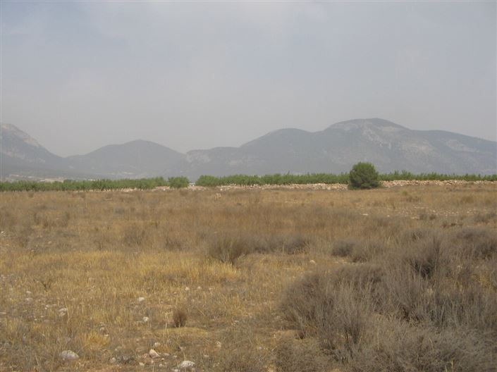 Image No.1-1 Bed Villa for sale