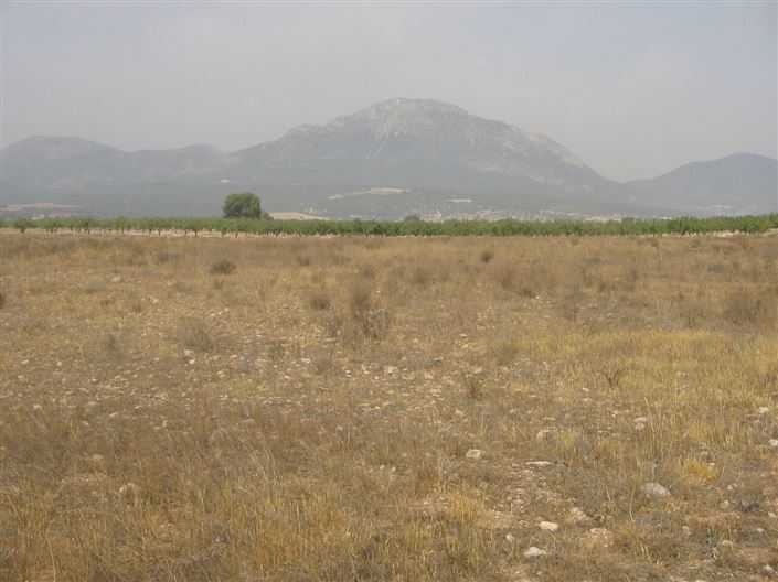 Image No.2-1 Bed Villa for sale