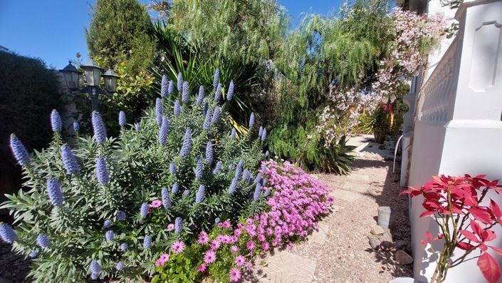 Image No.21-2 Bed Villa for sale