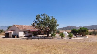 39301-finca-for-sale-in-lorca-2536636-large