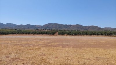 39301-finca-for-sale-in-lorca-2536633-large