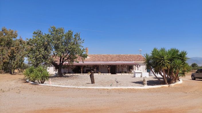 Image No.16-Finca de 3 chambres à vendre à Lorca