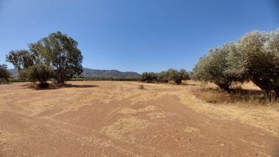 39301-finca-for-sale-in-lorca-2536625-large