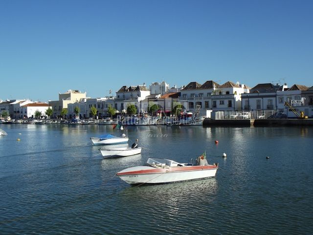 Image No.5-Terre à vendre à Tavira