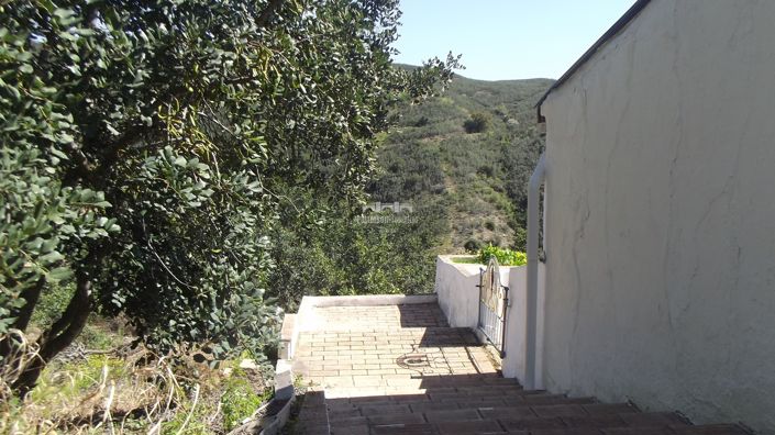 Image No.15-Villa de 1 chambre à vendre à Santa Maria